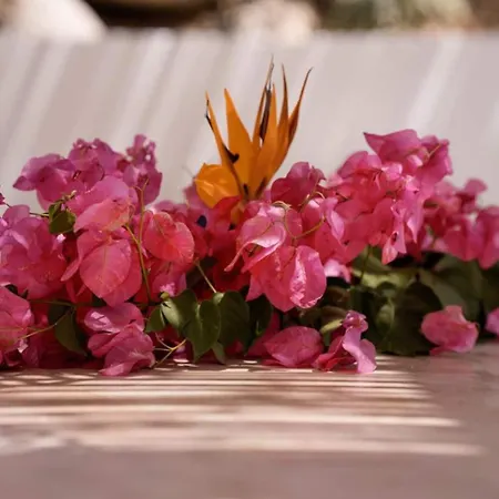 Mikri Sorriso - Luxurious On The Villa *